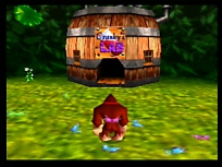 Large scan available