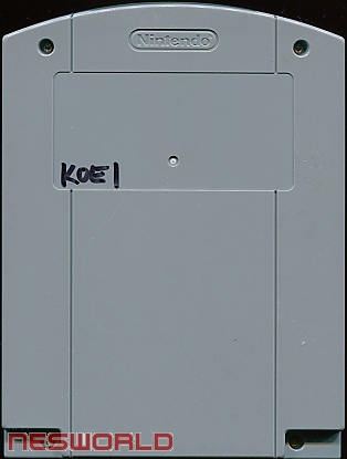 Large scan available